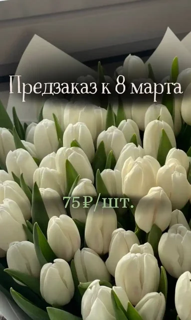 Предзаказ тюльпанов к 8 марта - Коллекционирование в Чебоксары