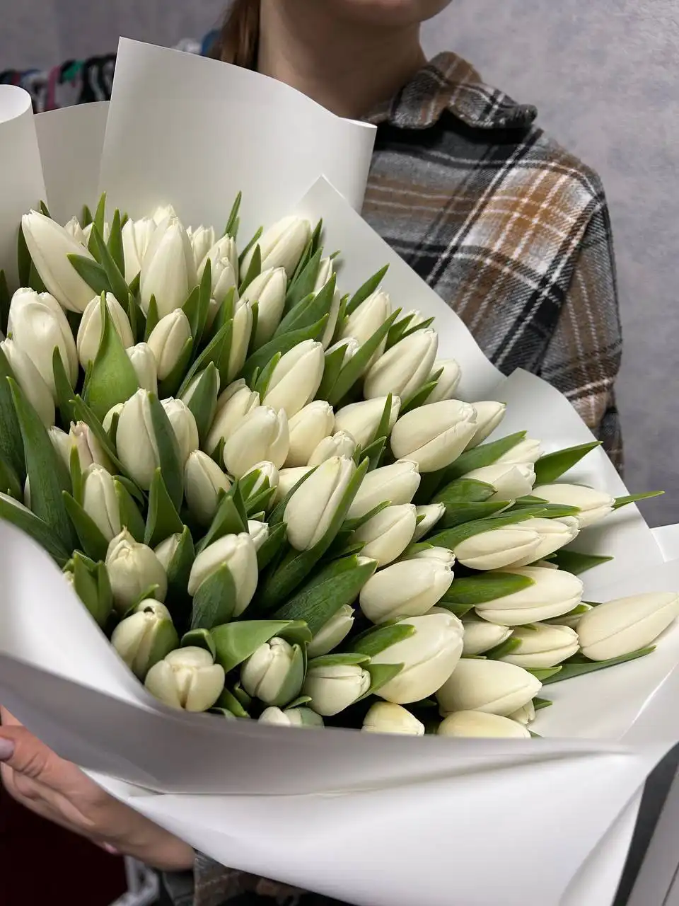 Предзаказ тюльпанов к 8 марта - Цветы (Хобби и отдых) в Чебоксары