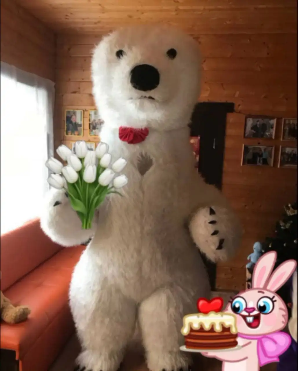 Поздравление с 8 Марта от Белого Мишки и Зайки/Хаски - Праздничные услуги (Услуги) в Чебоксары