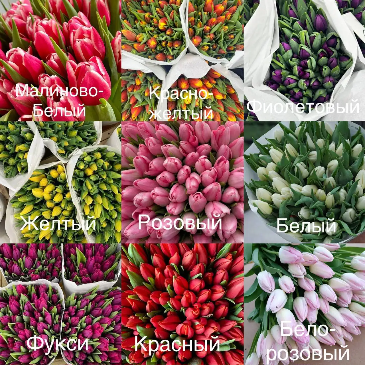 Тюльпаны к 8 марта - Цветы (Барахолка) в Чебоксары