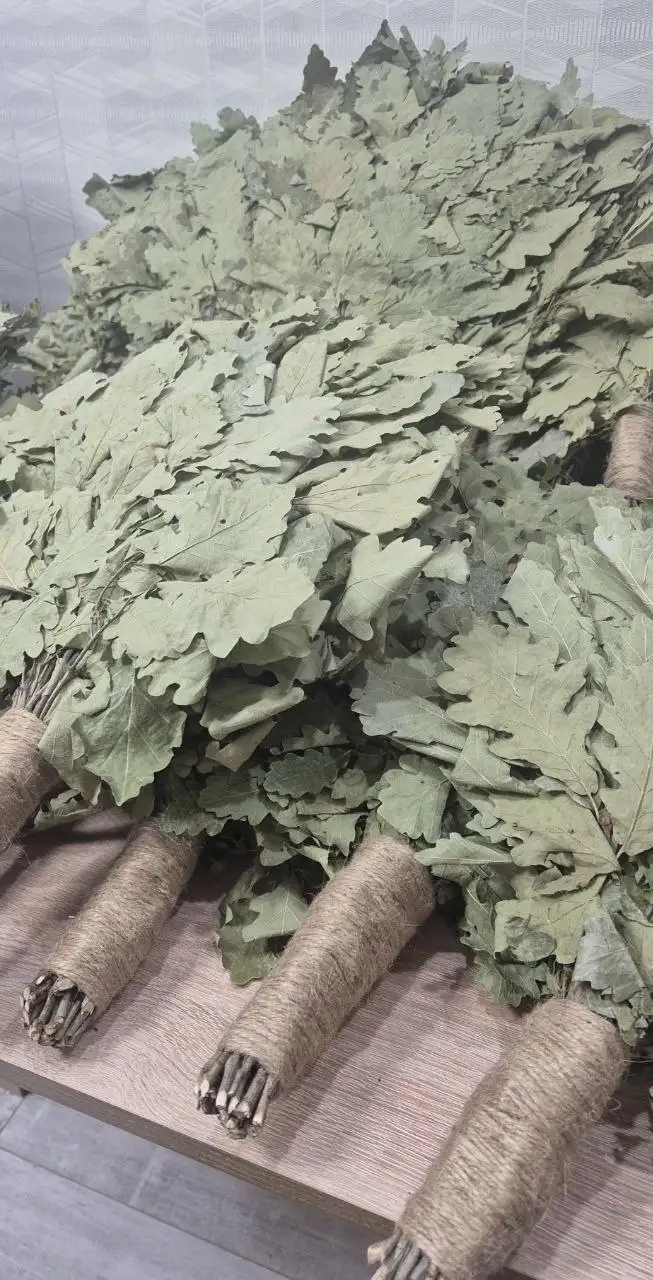 Продажа банных веников из Кавказского Дуба - Банные принадлежности (Хобби и отдых) в Чебоксары