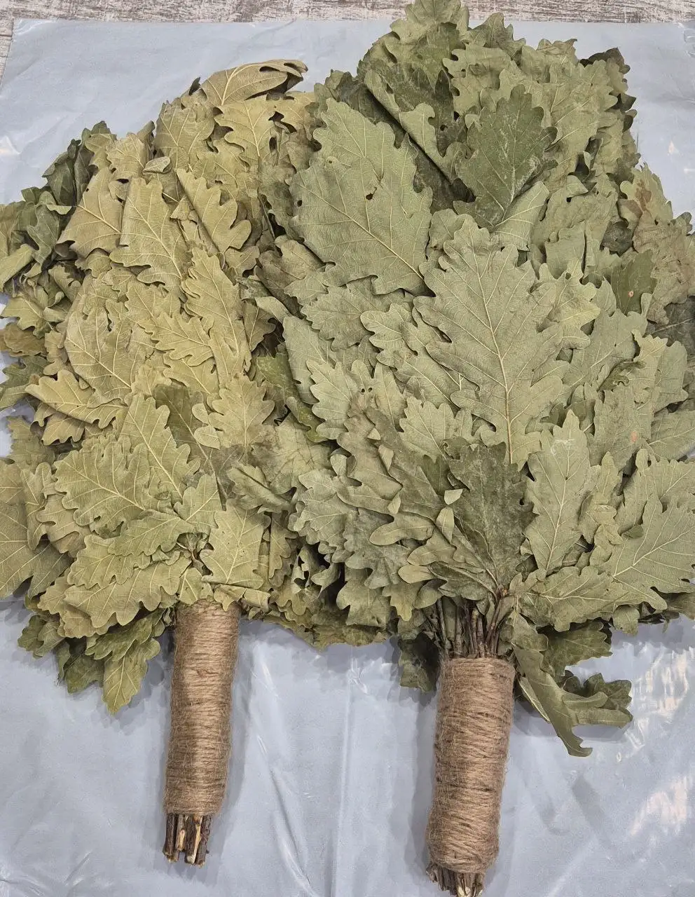 Продажа банных веников из Кавказского Дуба - Банные принадлежности (Хобби и отдых) в Чебоксары