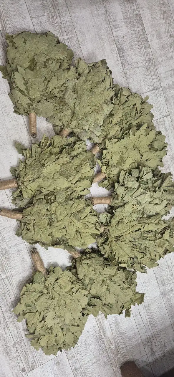 Продажа банных веников из Кавказского Дуба - Банные принадлежности (Хобби и отдых) в Чебоксары