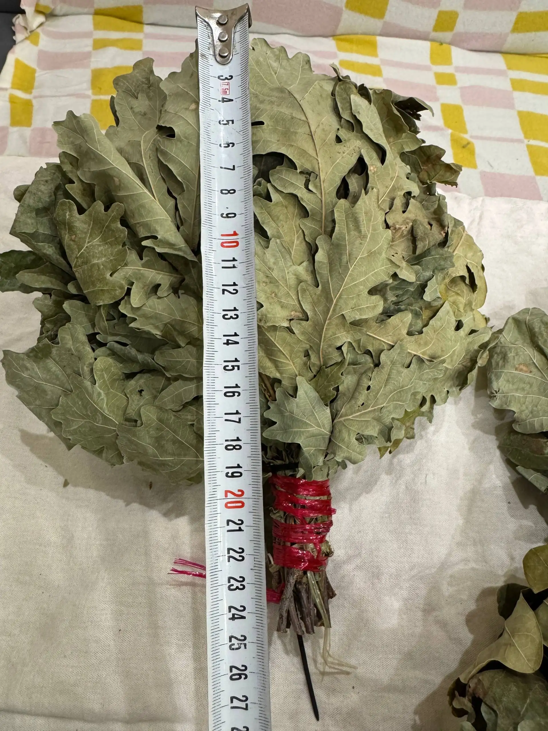 Детские дубовые веники из леса - Барахолка в Чебоксары