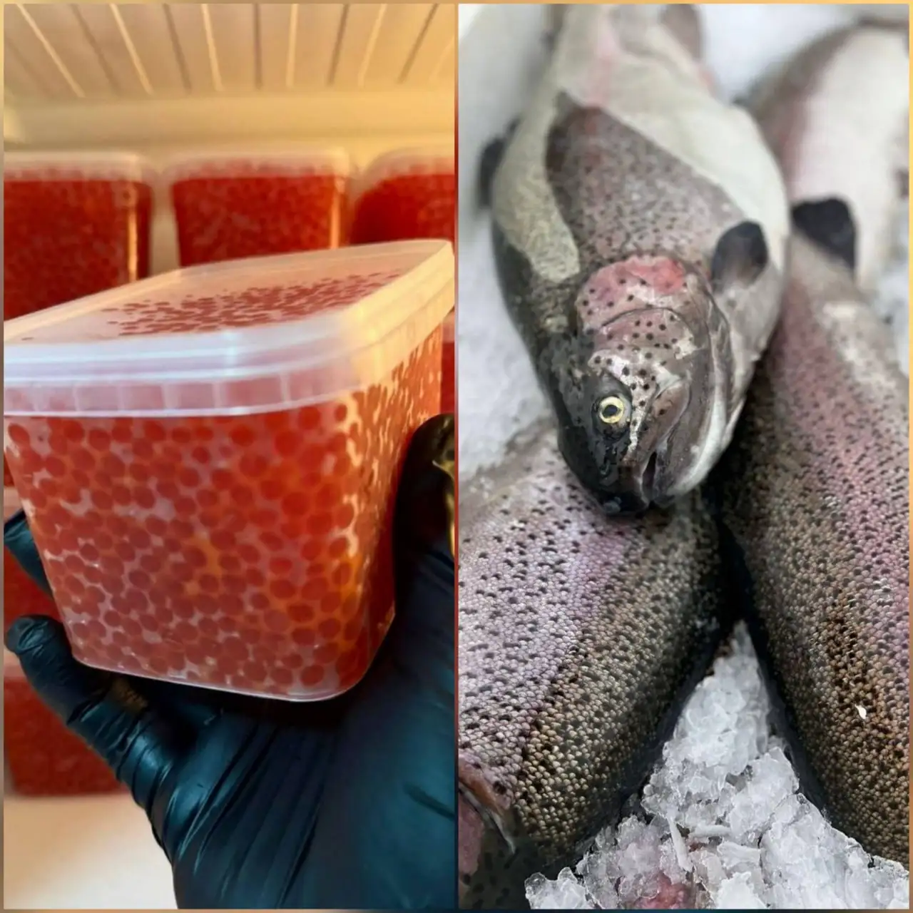 Свежие морепродукты и красная икра в Чебоксарах - Морепродукты (Продукты) в Чебоксары