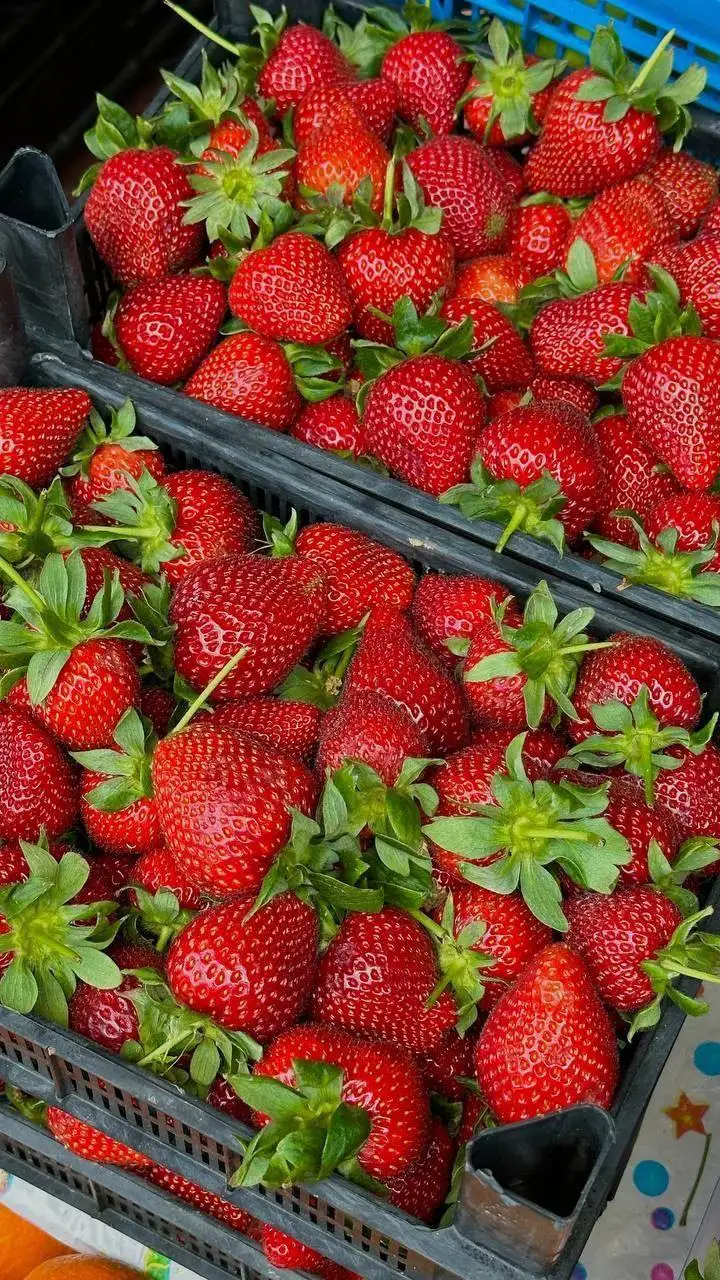Свежая Горномарийская клубника, крупная - Ягоды (Продукты) в Чебоксары