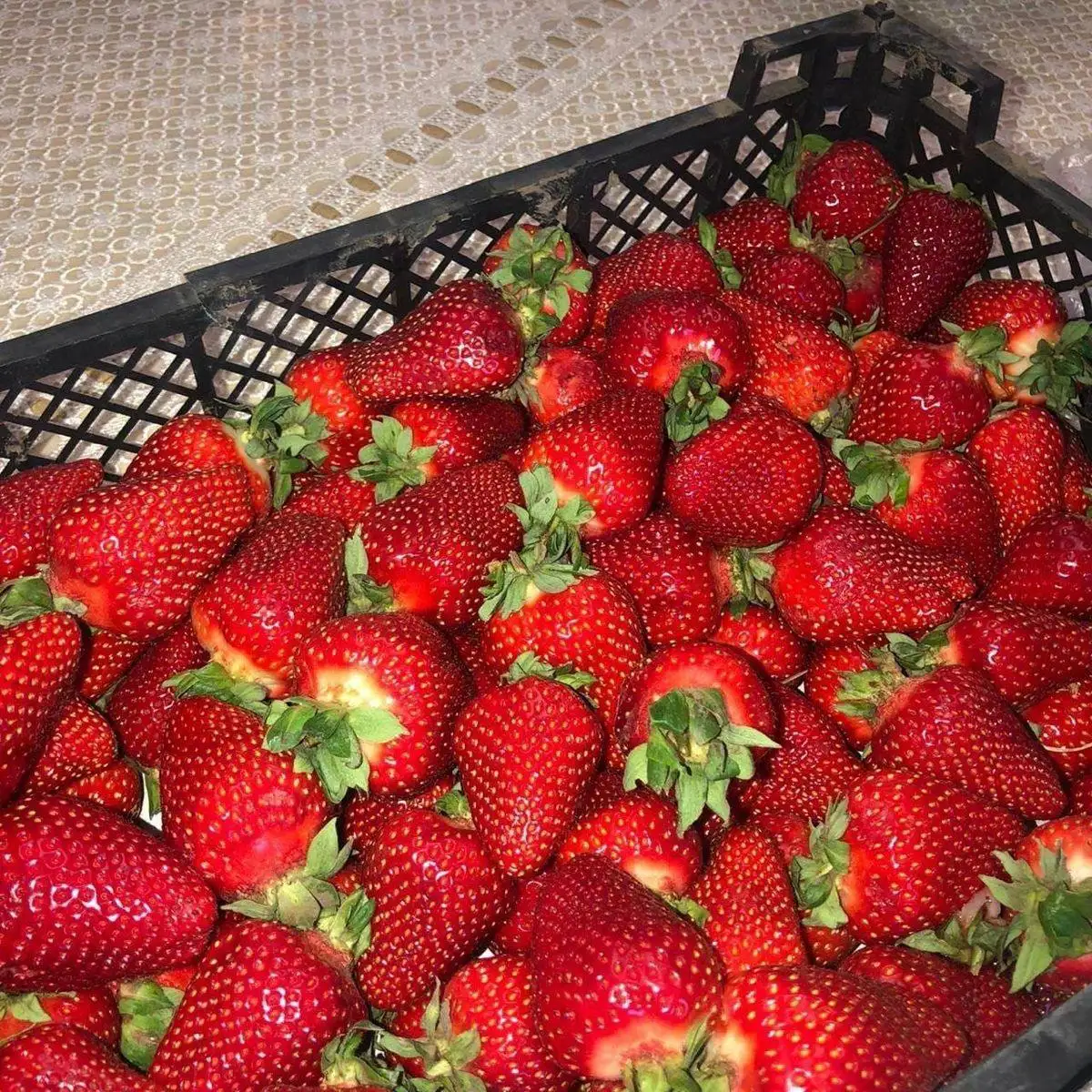 Свежая Горномарийская клубника, крупная - Ягоды (Продукты) в Чебоксары