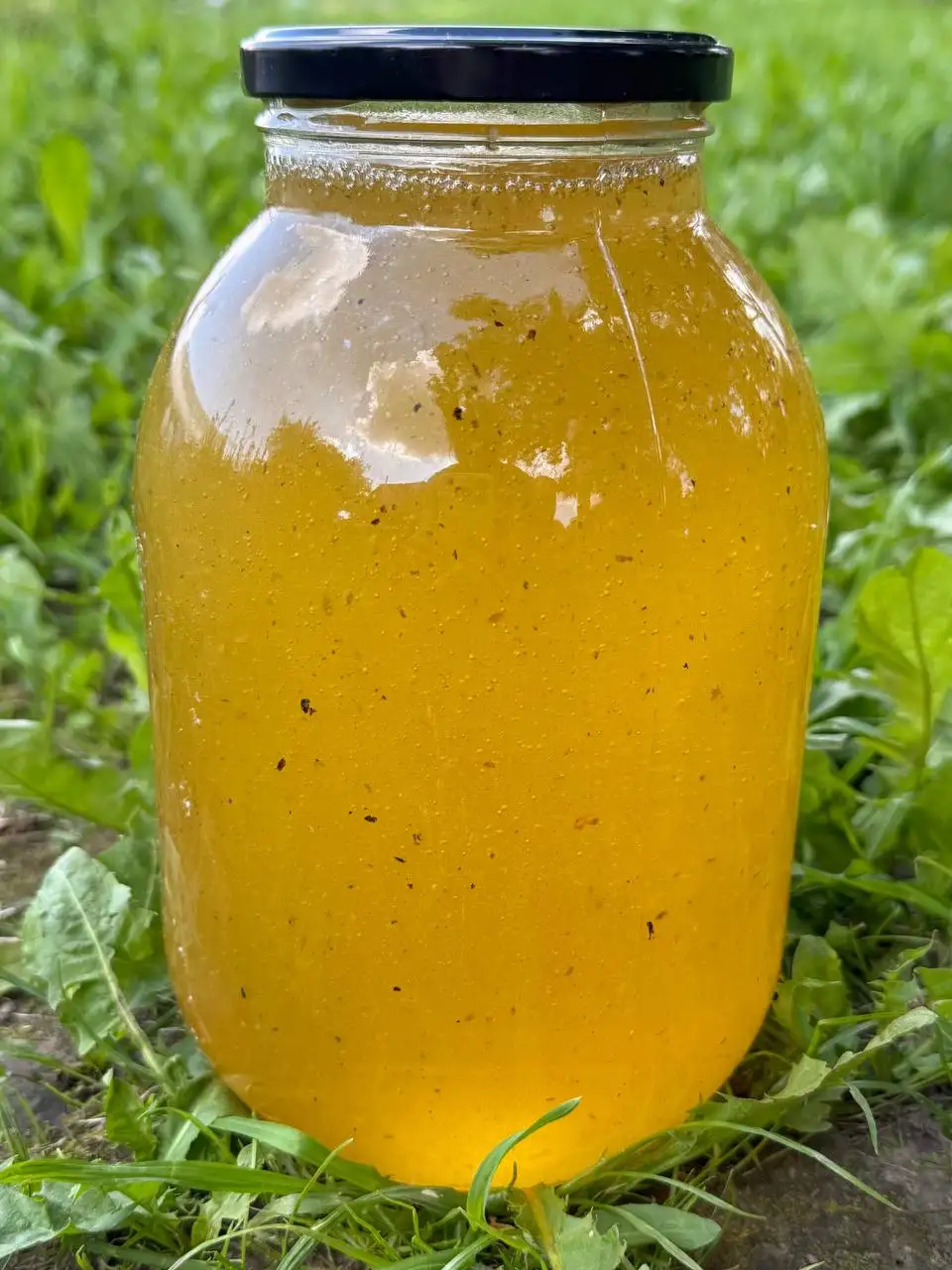 Акациевый мед с Алтая, первая качка - Мед (Еда) в Чебоксары