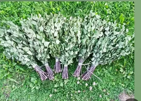 Продам берёзовые веники - Уборочная техника в Чебоксары