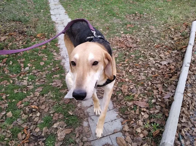 Ищу человека - Услуги в Волгоград