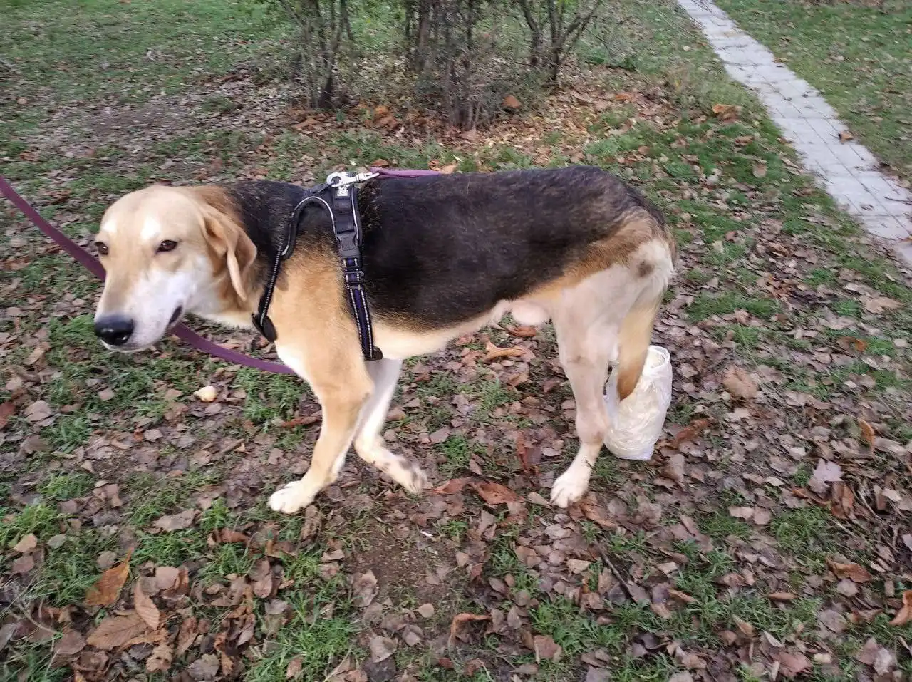 Ищу человека