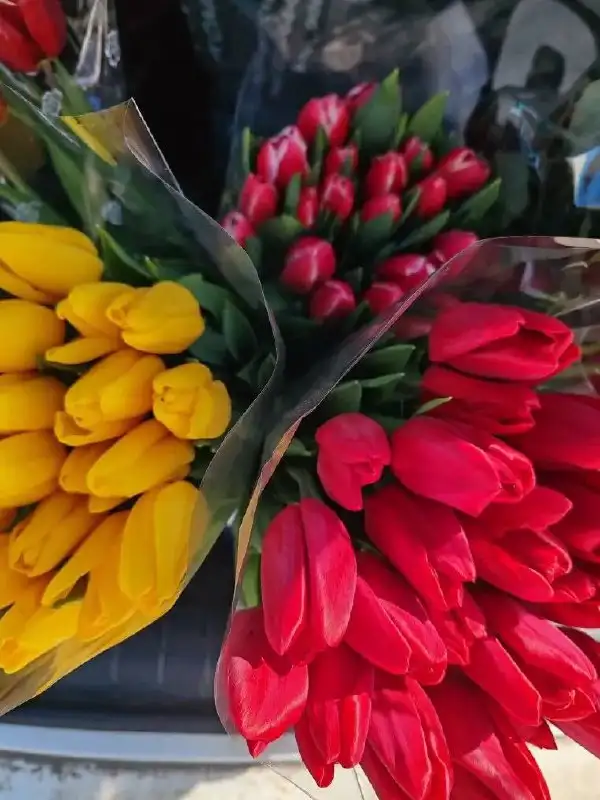 Цветы с доставкой в Советском районе Волгограда - Цветы (Хобби и отдых) в Волгоград