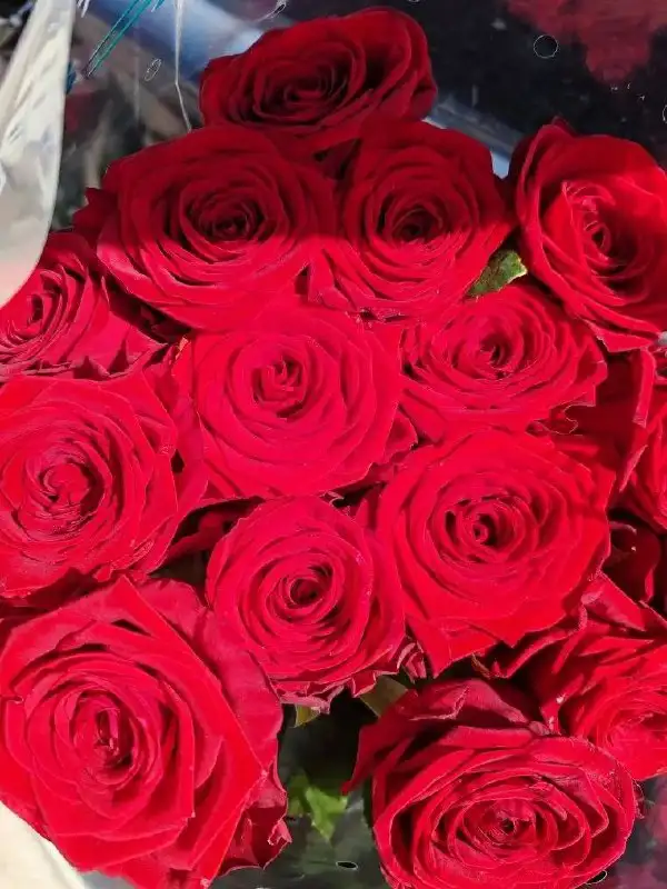 Цветы с доставкой в Советском районе Волгограда - Цветы (Хобби и отдых) в Волгоград