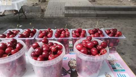 Продам черешню - Эзотерика в Волгоград