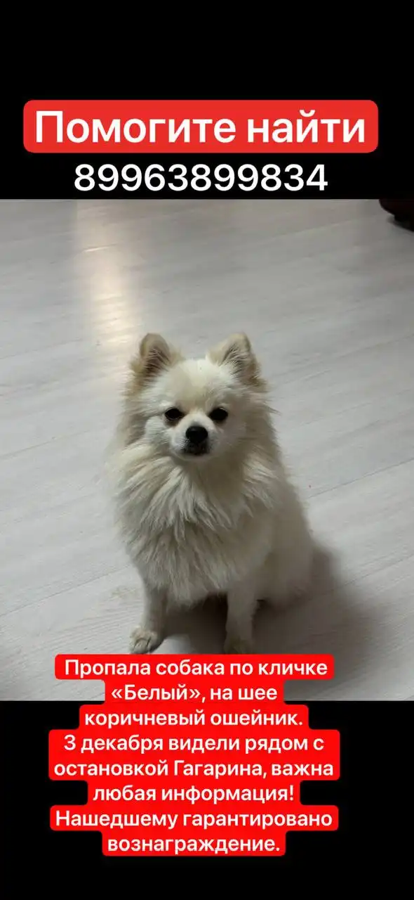 Объявление из барахолки Хабаровска