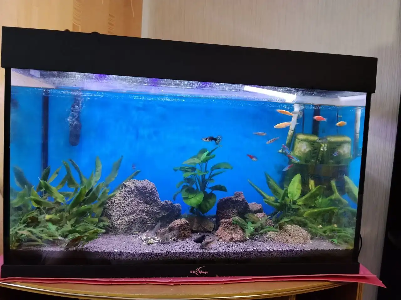 Продам аквариум Биодизайн 115 литров с комплектацией