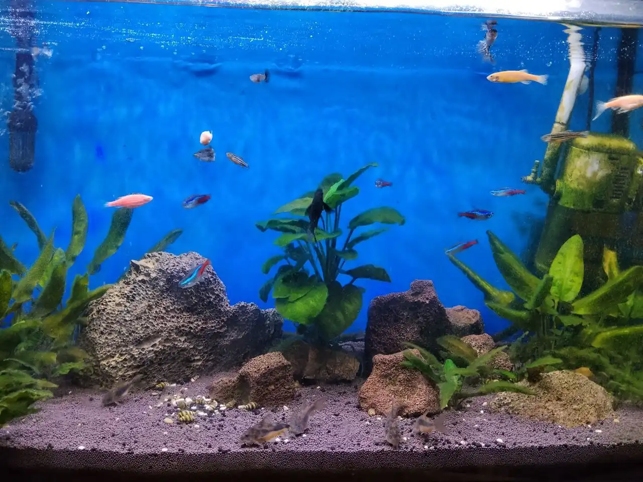 Продам аквариум Биодизайн 115 литров с комплектацией