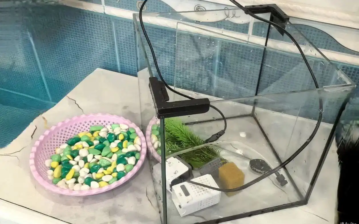 Продам аквариум 5 литров с камушками, растением и фильтром