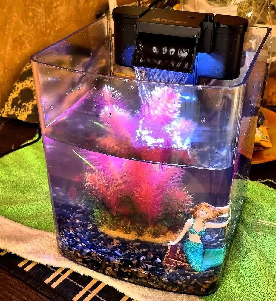Продажа аквариума с рыбками в Хабаровске