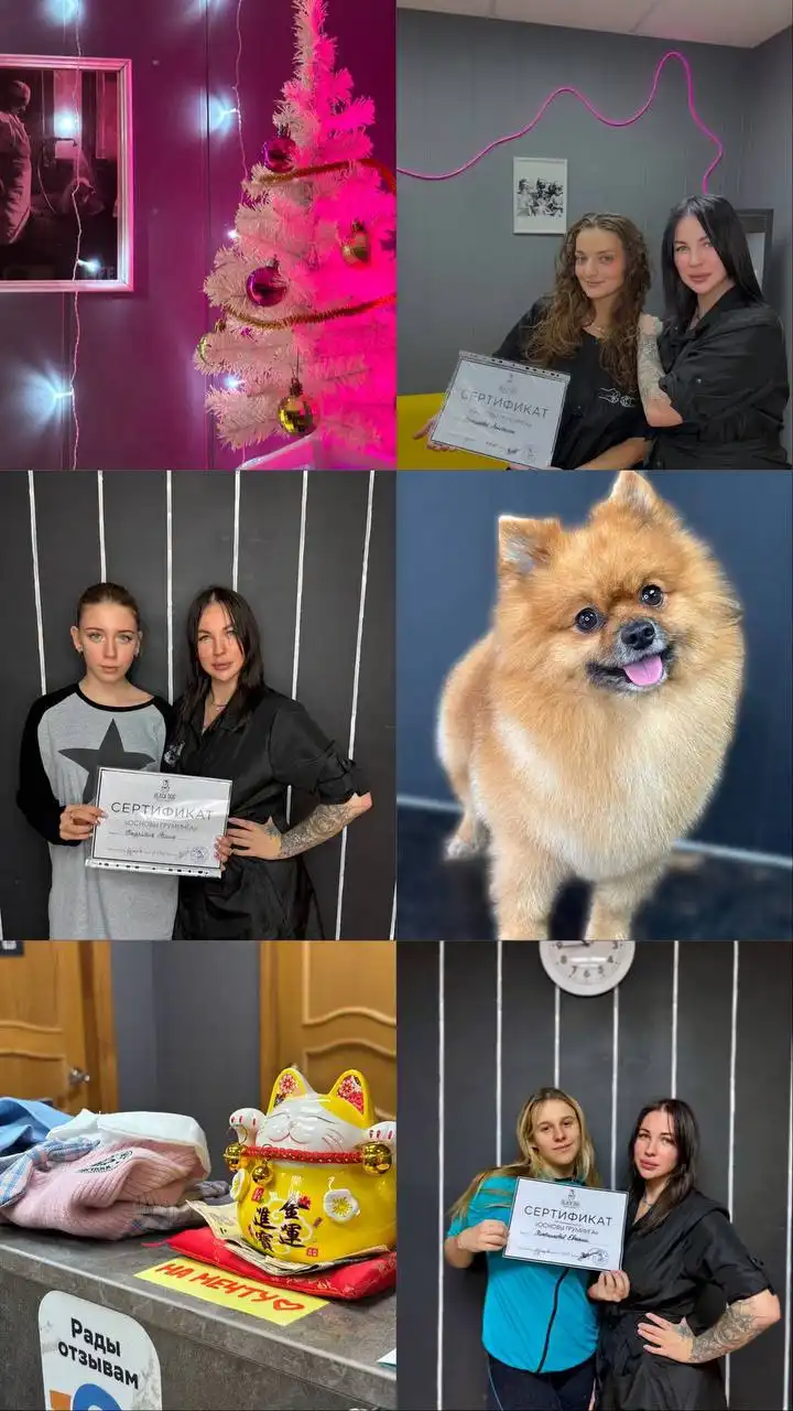 Требуются модели животных для обучения груминга