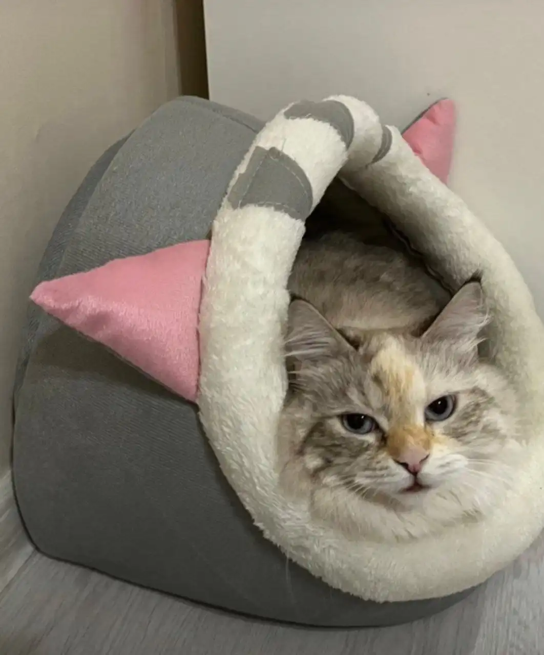 Новая лежанка для кошки - Товары для детей в Хабаровск