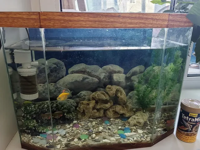 Аквариум 40 литров с рыбками и комплектом - Кошки в Хабаровск