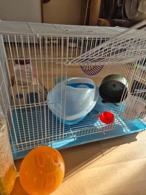 Клетка большая - Аквариумистика в Хабаровск