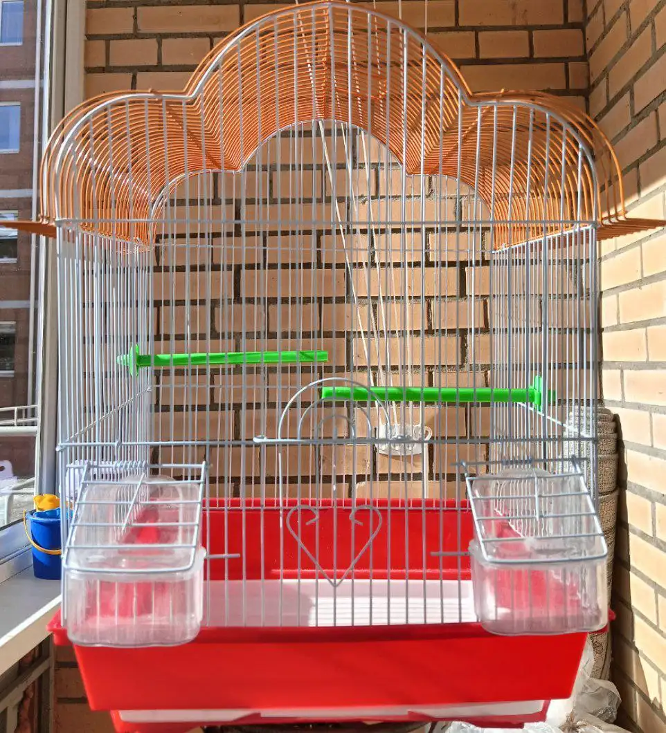 Клетка для птиц с кормом - Животные (Барахолка) в Хабаровск