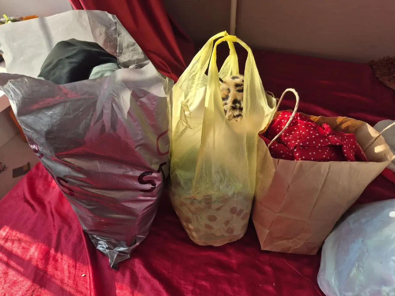 Пакет женской одежды размер S - Женская одежда (Одежда) в Хабаровск