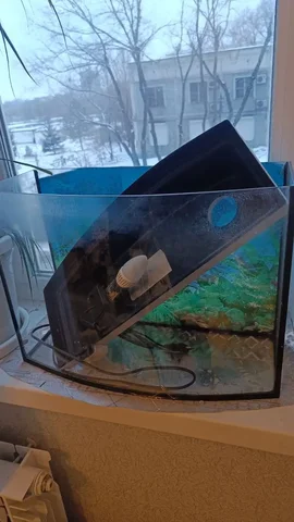 Аквариум 30 литров - Спорт и активный отдых в Хабаровск