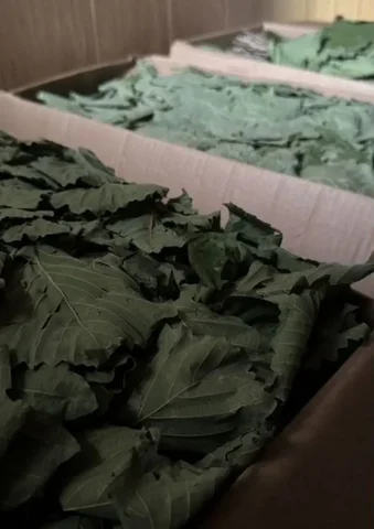 Продажа дубовых веников в Хабаровске - частное объявление в Хабаровск