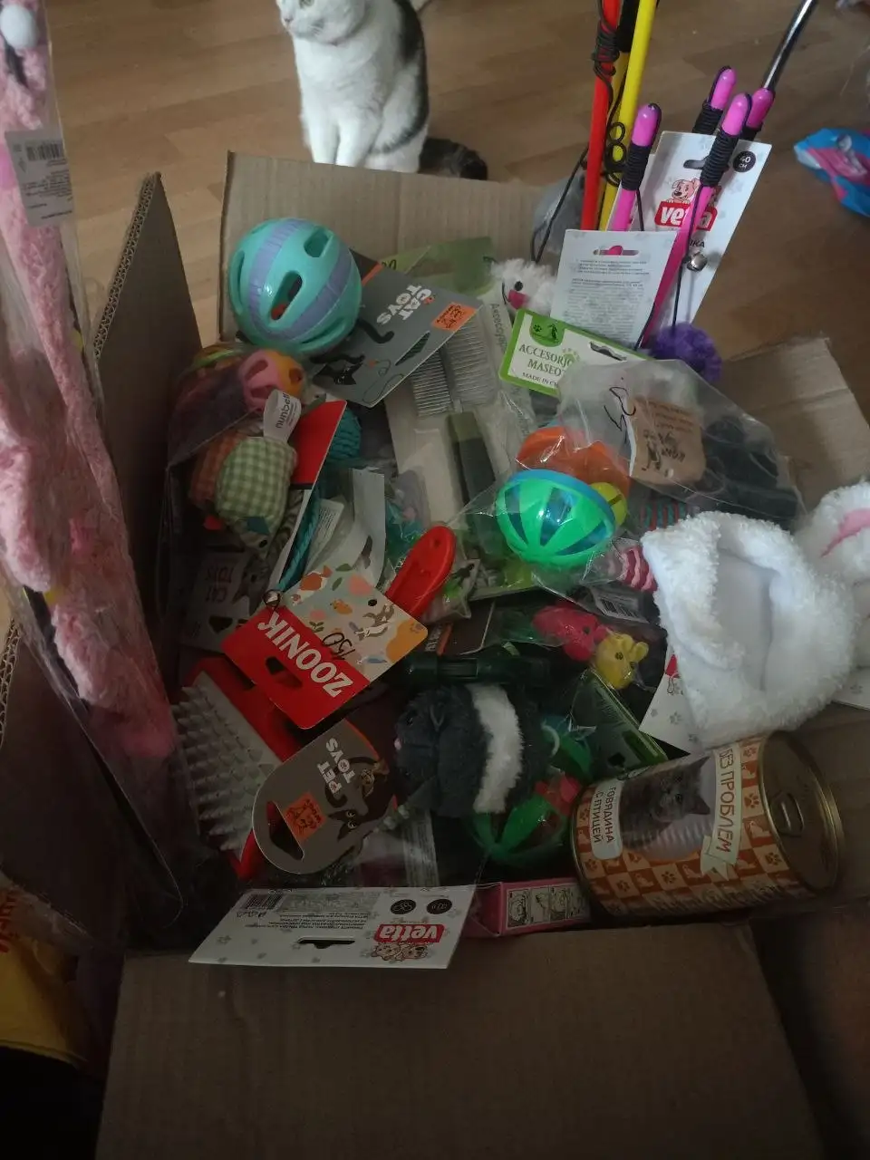 Всякое для котов и собак - Товары для животных (Животные) в Хабаровск