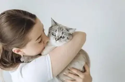 Предостережение о содержании кошек при наличии дочери - Кошки в Владивосток