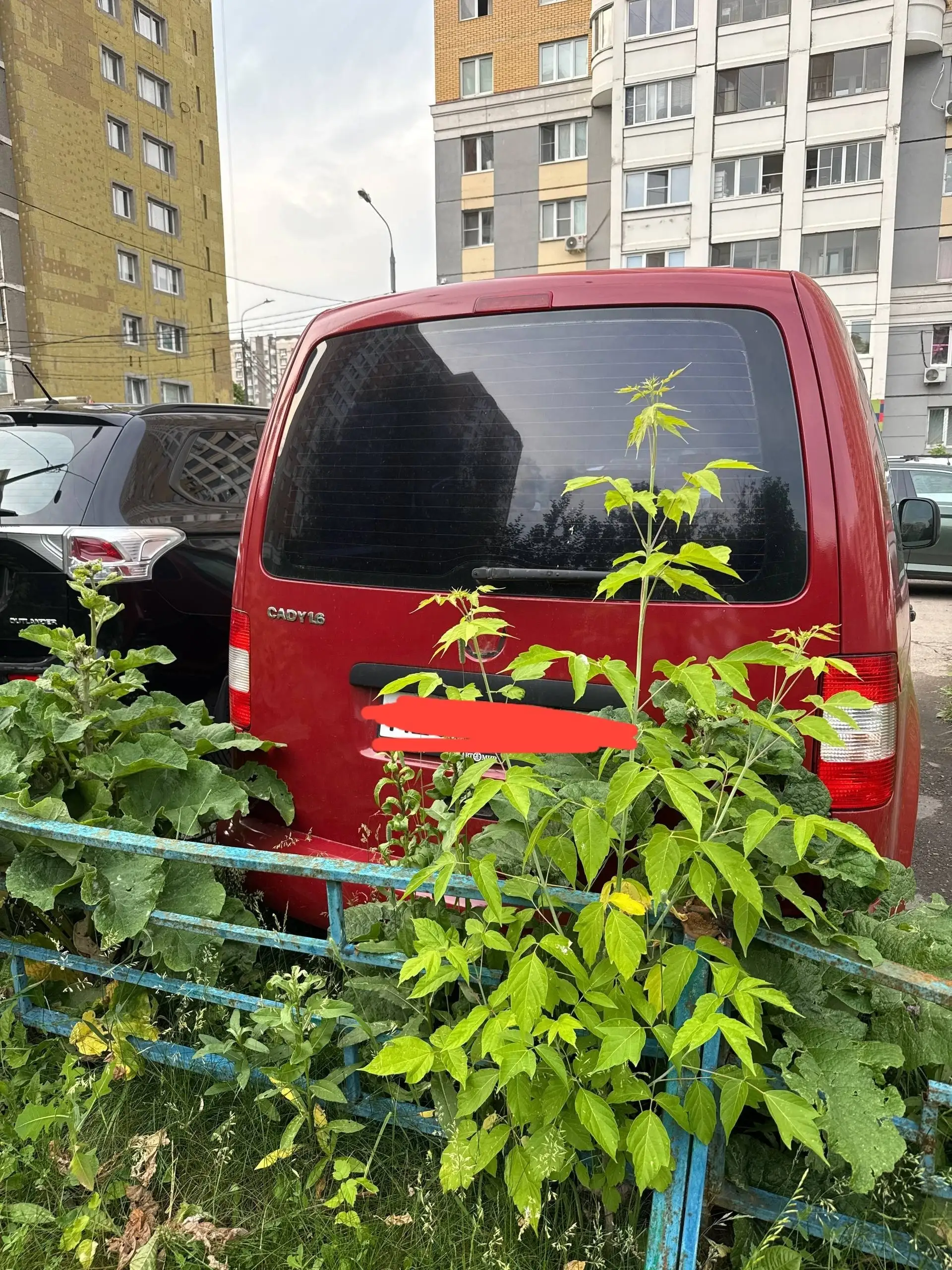 Volkswagen Cady 2008 - Минивэны (Авто) в Уфа