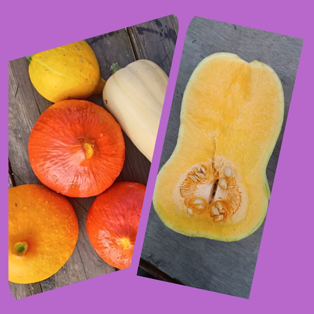 Продам тыквы