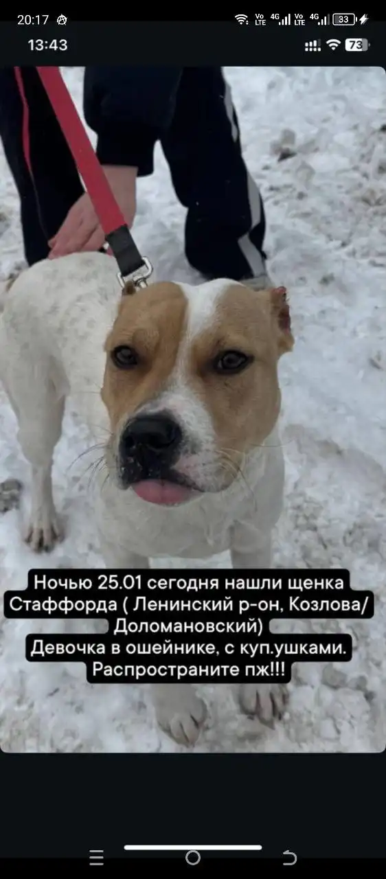 Продам Hyundai Santa Fe 2011 года - Авто в Ростов-на-Дону