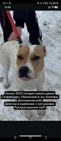 Продам Hyundai Santa Fe 2011 года - Авто в Ростов-на-Дону