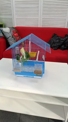 Продажа канарейки с клеткой - Грызуны в Ростов-на-Дону