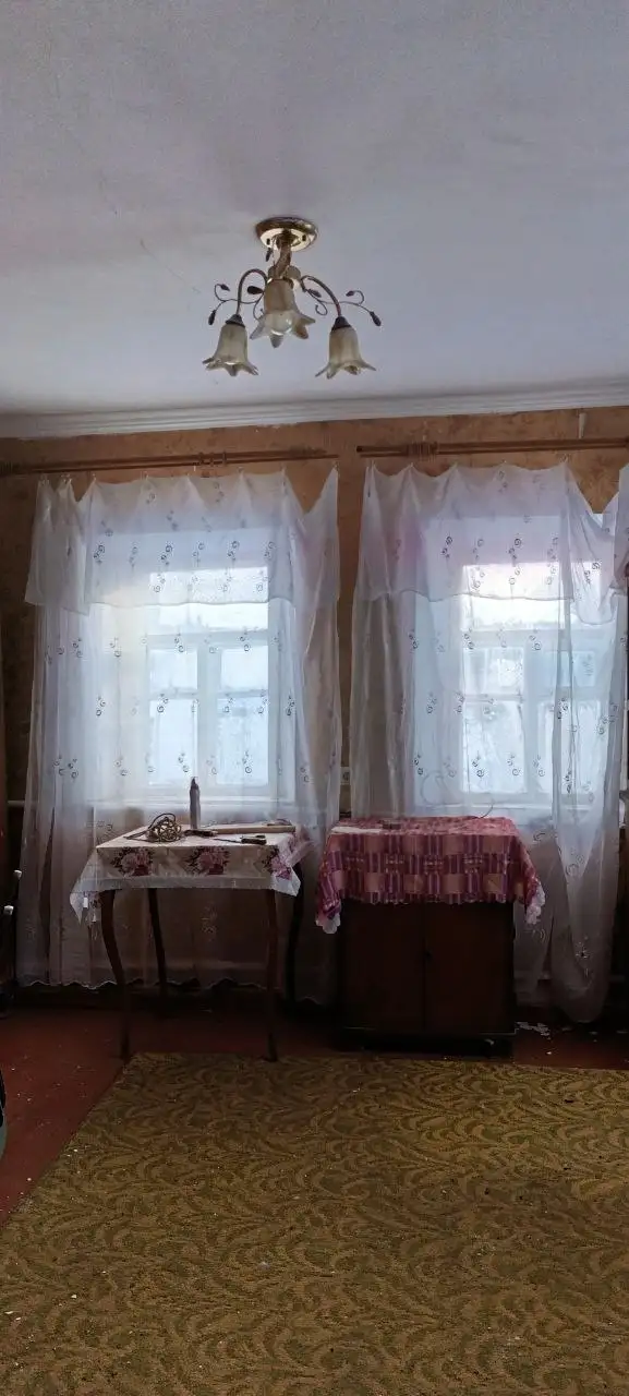 Продаётся дом в Новоегоровке - Дома (Недвижимость) в Новоегоровка