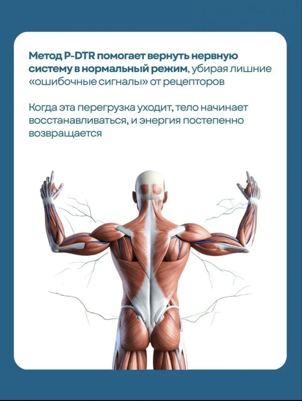 Услуги специалиста по нейромышечной коррекции в Батайске - Медицинские услуги / Коррекция (Услуги) в Батайск