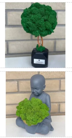 Продажа деревьев Бонсай и статуэтки Будды из стабилизированного мха - Спорт и фитнес в Ростов-на-Дону