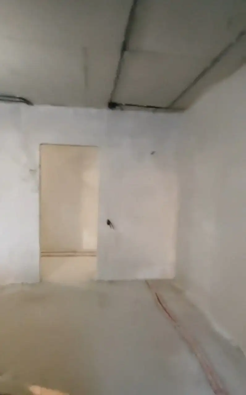 Услуги по полусухой стяжке пола, механизированной штукатурке, вывозу мусора и демонтажу - Строительные и ремонтные услуги (Услуги) в Ростов-на-Дону