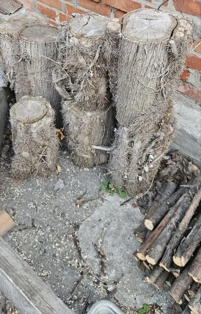 Дрова еловые с пнями основного ствола - Разное в Ростов-на-Дону