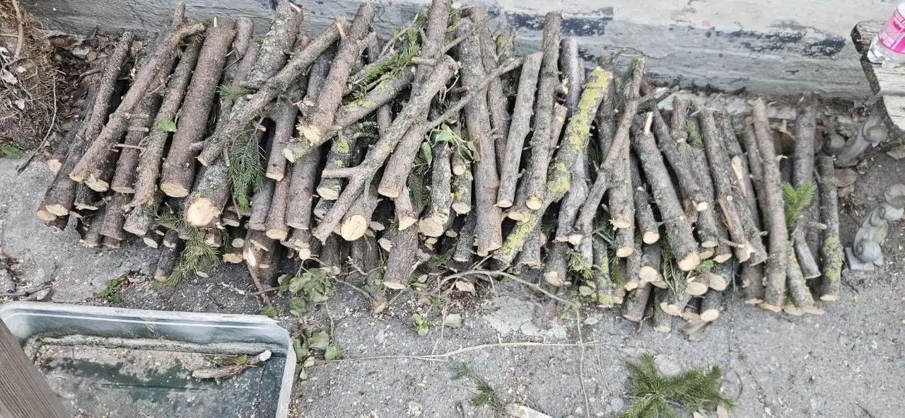 Дрова еловые с пнями основного ствола - Барахолка в Ростов-на-Дону