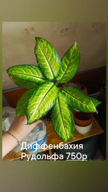 Участок в ДНТ Труд в Батайске - частное объявление в Батайск