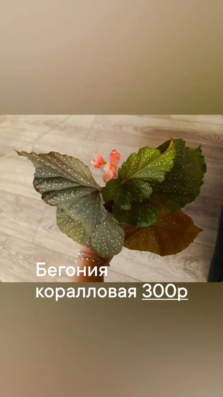 Продажа автомобиля в Батайске