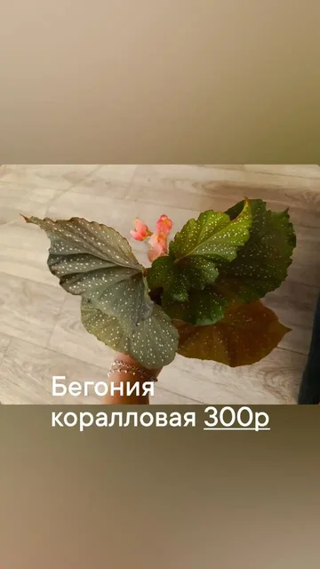 Продажа автомобиля в Батайске - Авто в Батайск