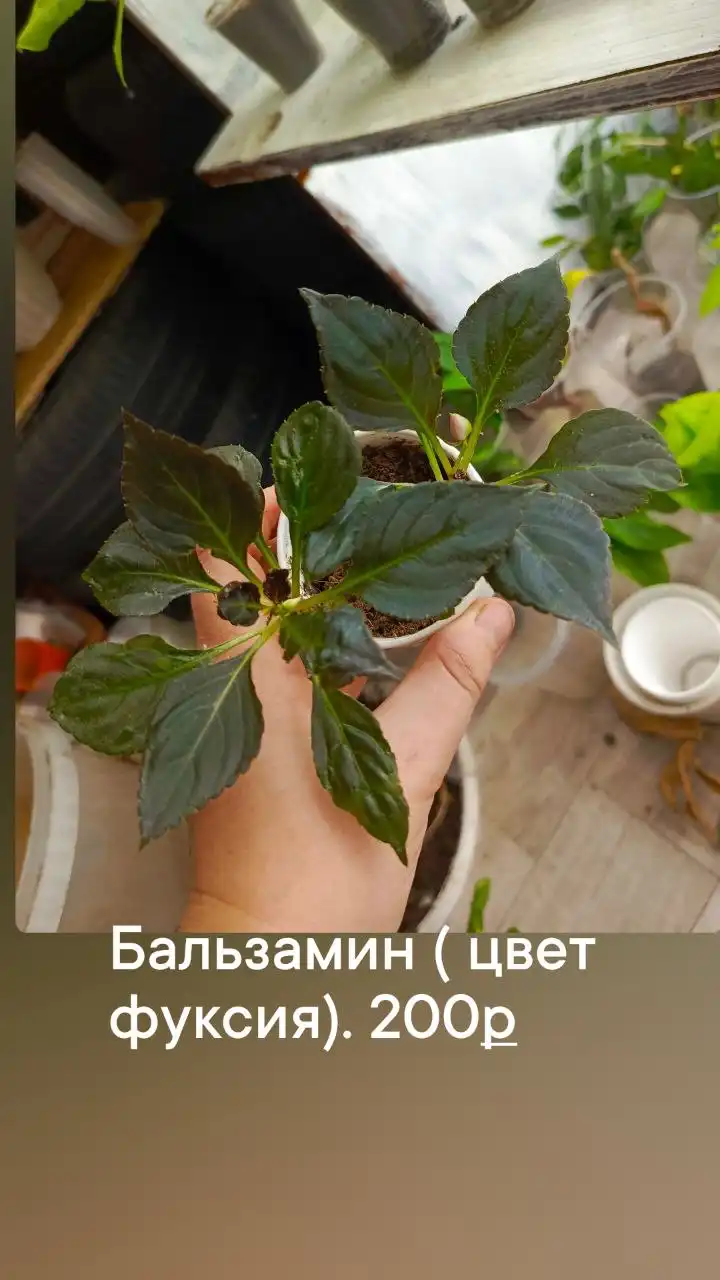 Продажа автомобиля в Батайске