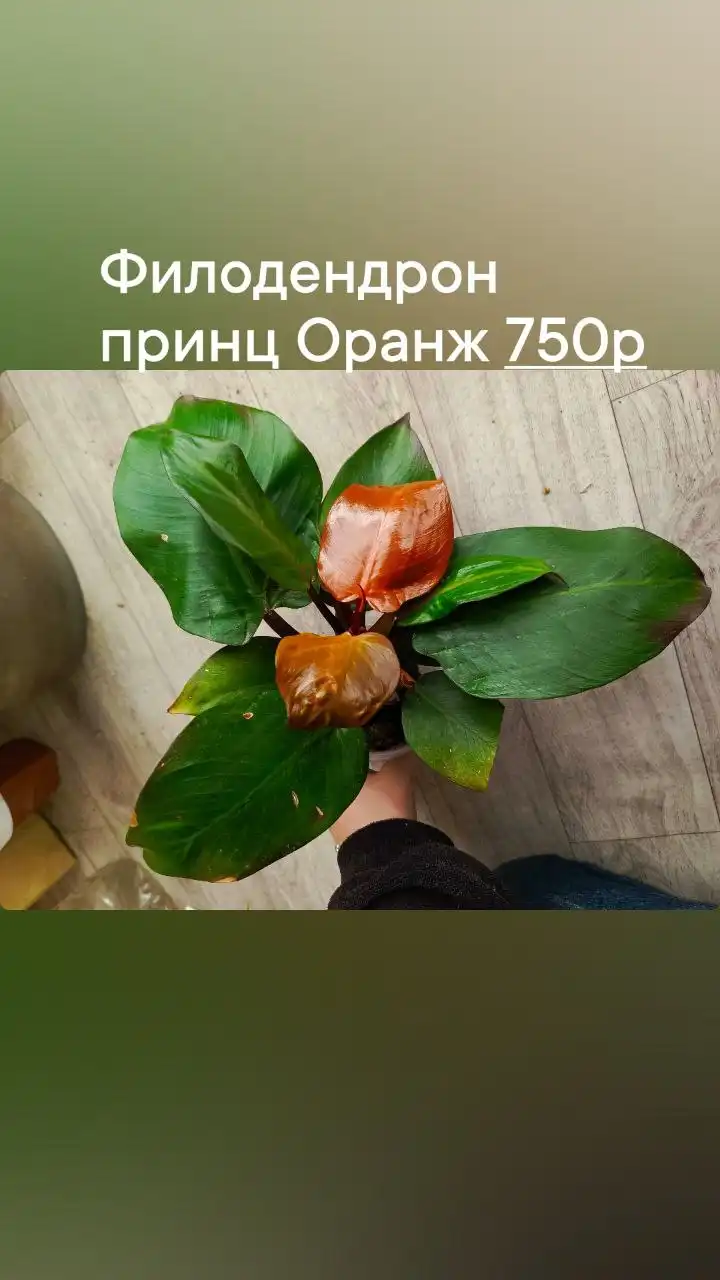 Продажа автомобиля в Батайске