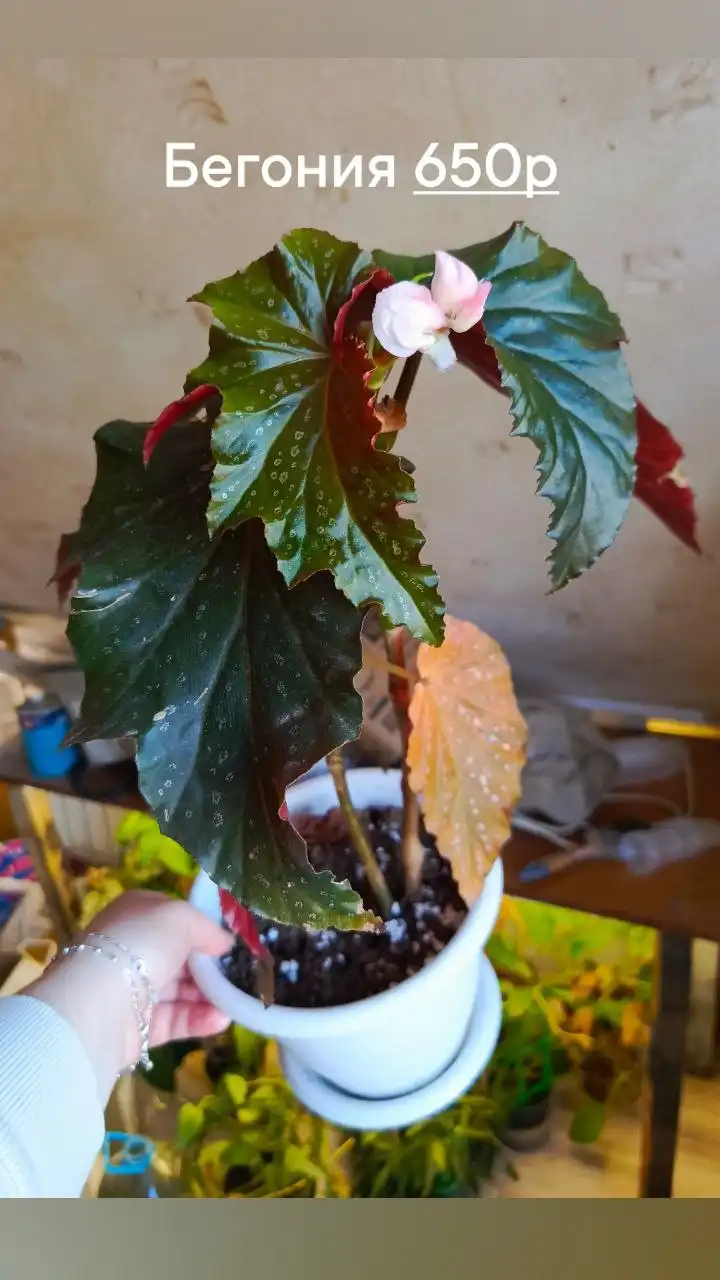 Продажа автомобиля в Батайске